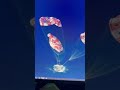 Artemis II Splashdown!!