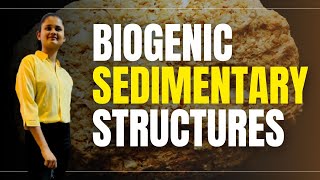 Biogenic sedimentary structure | #biogenic #sedimentary #geology