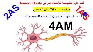 ماهو دور العصبون ايا تلاميذي جاوبو 4 متوسط 1/2 ثانوي|فرض العلوم الطبيعية