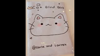 Cat blind bag! Cat 🐱 Idea from @theroannechannel8326 !