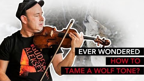 WOLF TONE on your STRINGS? This is what you need to know!