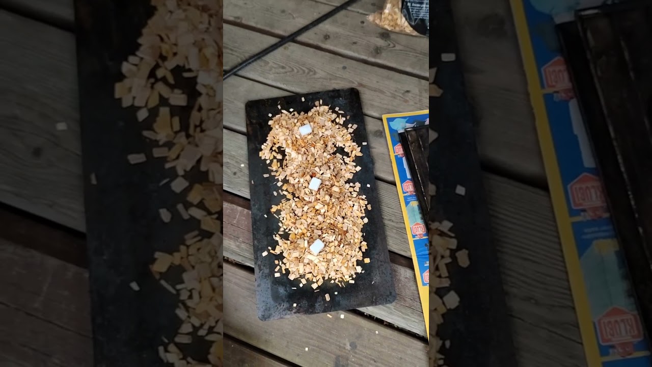 11. heinäkuuta 2024 Siian savustus savusiika