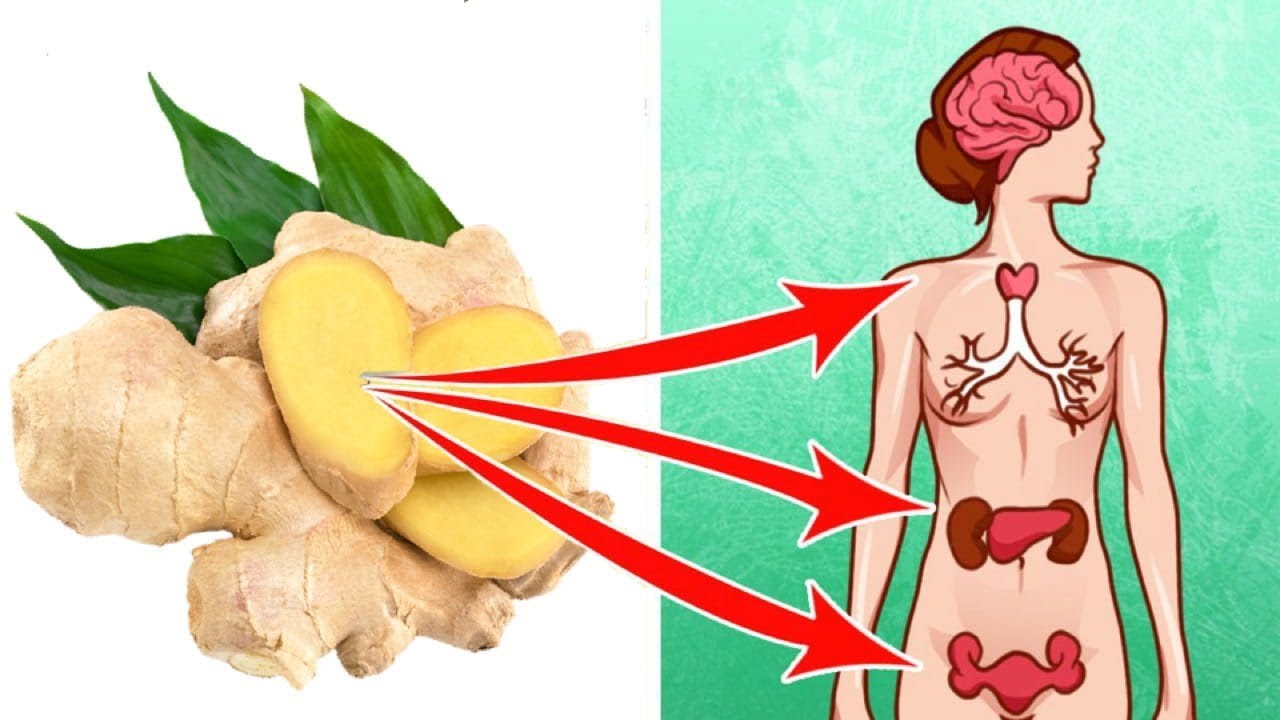 6 Life Saving Reasons to Eat Ginger Every Day - YouTube
