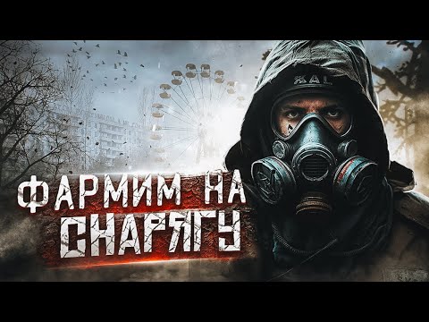 НОВАЯ ИСТОРИЯ ● ФАРМИМ НА СНАРЯГУ В STALKER RP ● DAYZONE #dayz #stalkerrp