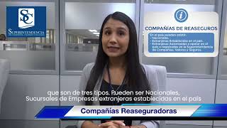 Insurance and Reinsurance Companies