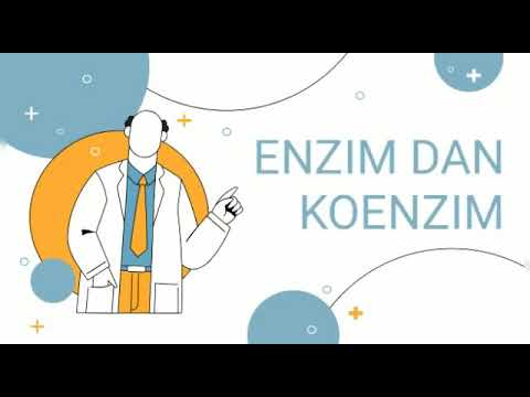 Video: Perbezaan Antara Enzim Dan Koenzim