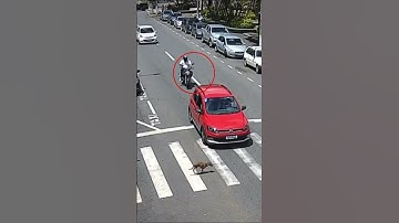 Giving Way To The Dog At The Pedestrian Crossing And … #shorts #accident #viral