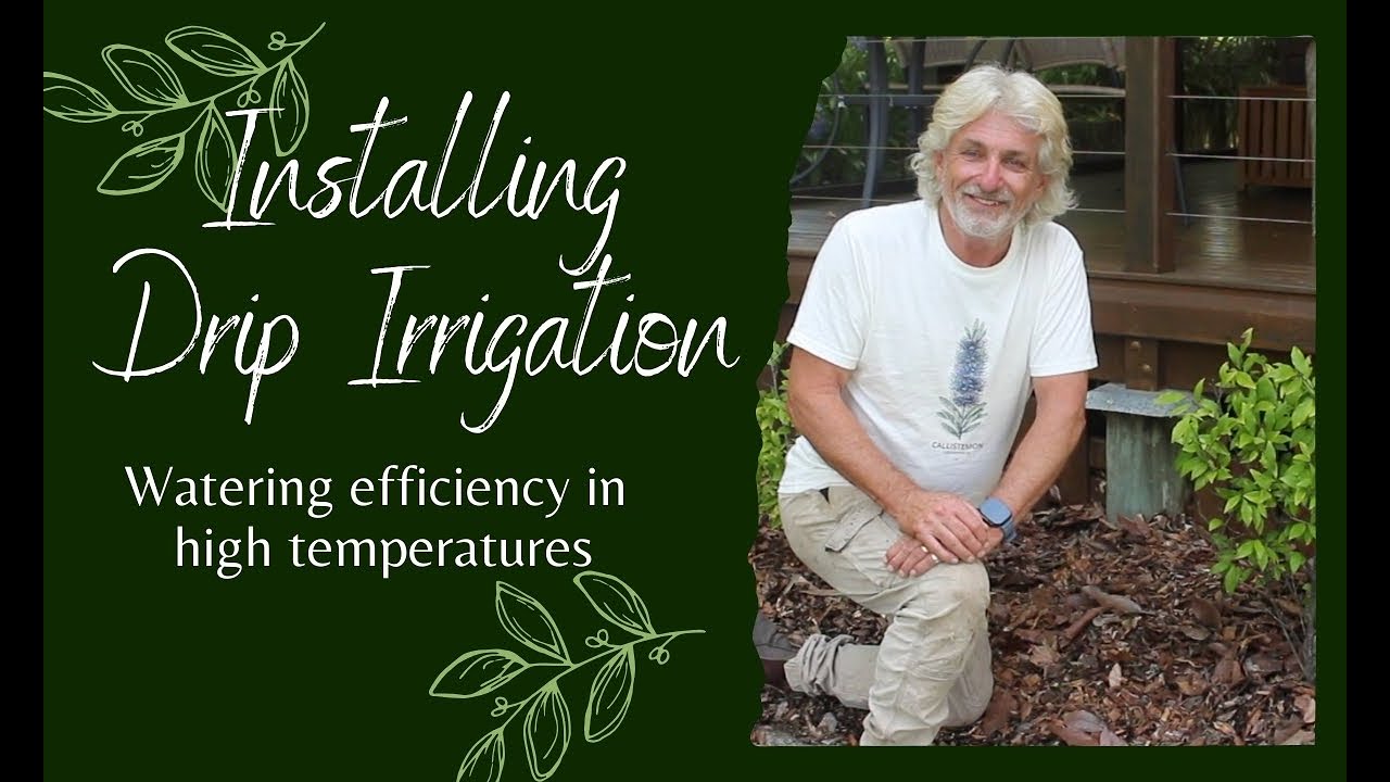 DIY Drip Irrigation Installation for Gardeners (Step-by-Step Guide)