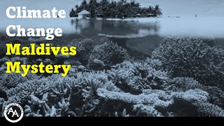 Climate Change: The Maldives Mystery