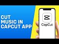 How to Cut Music in Capcut App - Easy