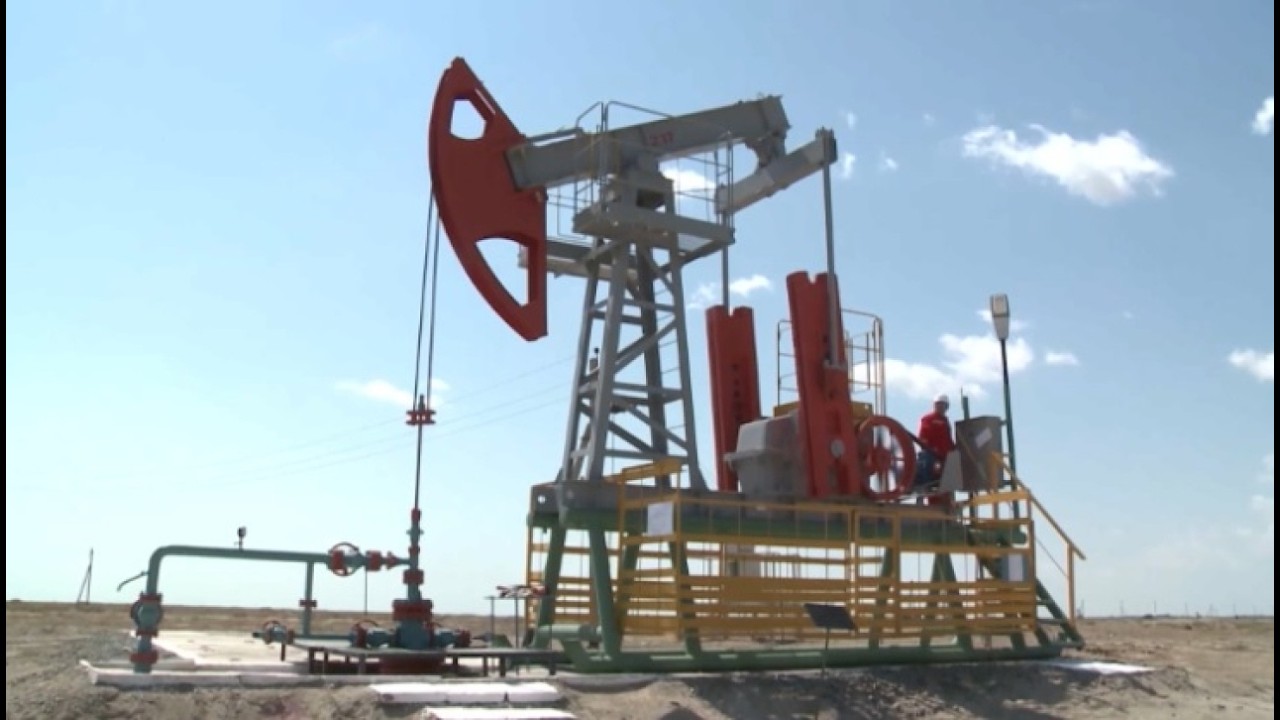 Водители из Нидерландов стали ездить в Бельгию за бензином