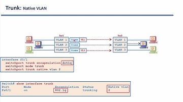 Bài 91 Hiệu chỉnh Native VLAN trên đường Trunk sử dụng kiểu đóng gói dot1q | Điện tử Viễn thông DTVT