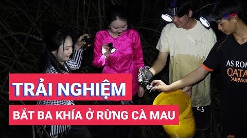 Trải nghiệm bắt ba khía trong đêm ở vùng rừng Cà Mau