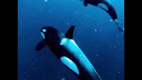 #محمدسيدعبدالعاطى تلاوة خاشعة من أروع التلاوات