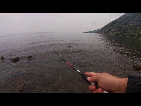 Βίντεο: Πώς να ψαρεύετε σε νερό