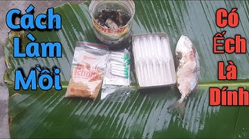 Hướng Dẫn Chi Tiết Cách Pha Mồi Cấm Câu Ếch Ở Miền Tây