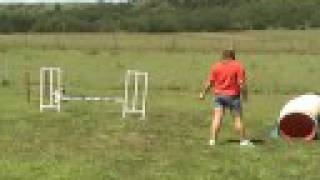 Bode Agility Drills