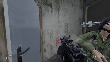 DayZ: SG5-K vs M4-1A