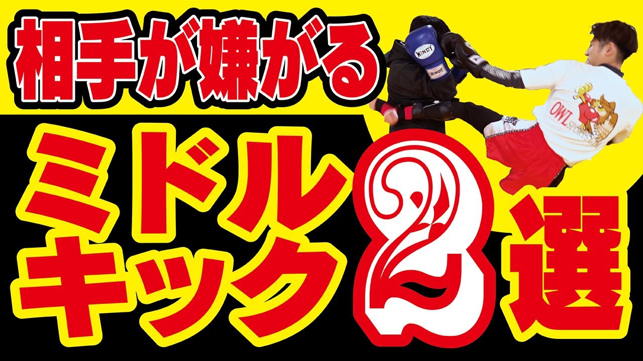 【ジムでは教えてくれない】相手が嫌がるミドルキック2選〜対人で効果的です！〜