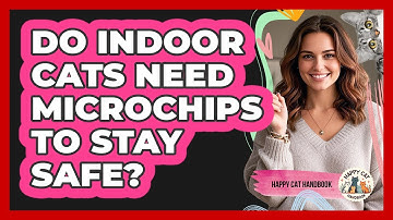 Do Indoor Cats Need Microchips To Stay Safe? - Happy Cat Handbook