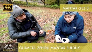 Mantar Gezisi Mantarlar Hakkında Bilgiler Ölümcül Zehirli Mantar Bulduk