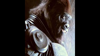 Planet Of The Apes (2001) Music Video by blast from the past 753 views 1 year ago 2 minutes, 57 seconds