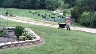 ELECTRIC MOTORIZED WHEELBARROW - The Hillbarrow