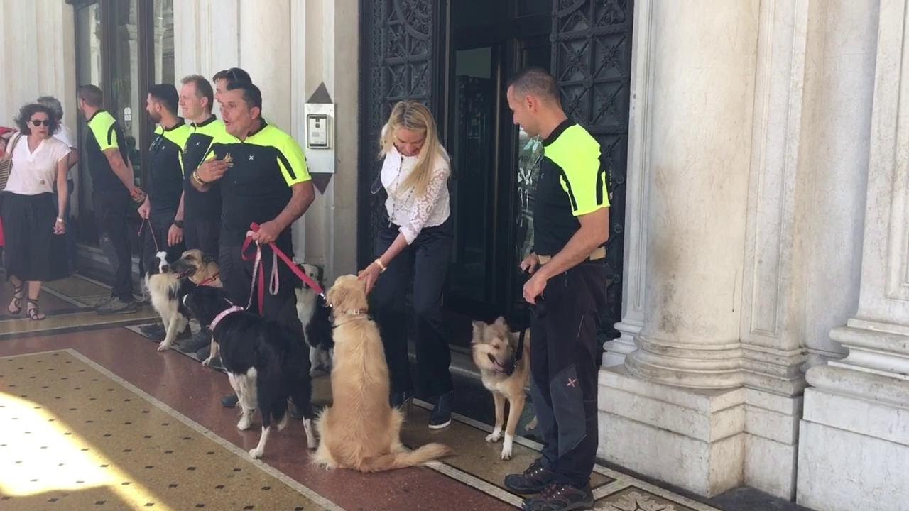 A Genova la prima sala operatoria mobile per i cani delle forze dell'ordine
