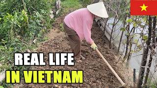 You Won’t Believe This Is Everyday Life in Vietnam/Real Life in Vietnam