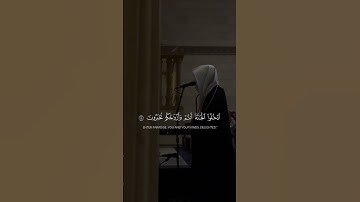 سورة الزخرف - القارئ محمد أبا الحسن
