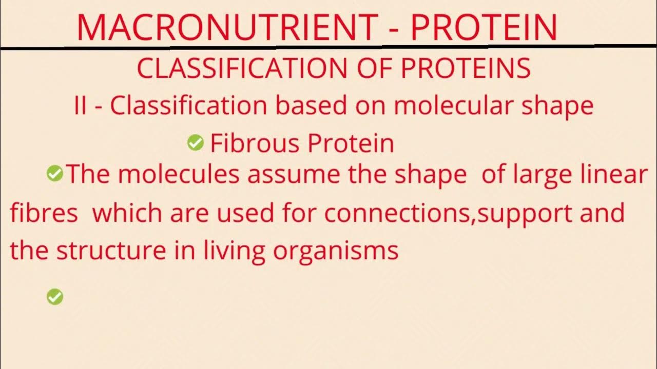 PROTEIN MACRONUTRIENT DEFINITION, STRUCTURE, CLASSIFICATION,IMPORTANCE ...