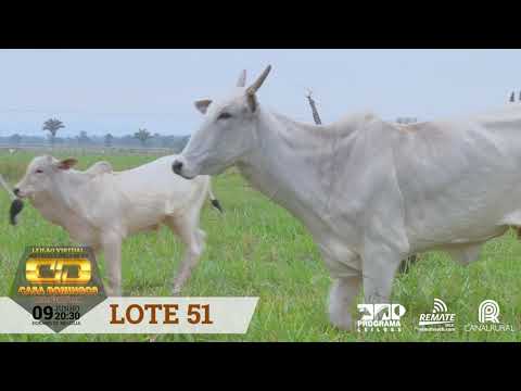 LOTE 51