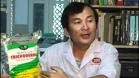 TRICHODERMA