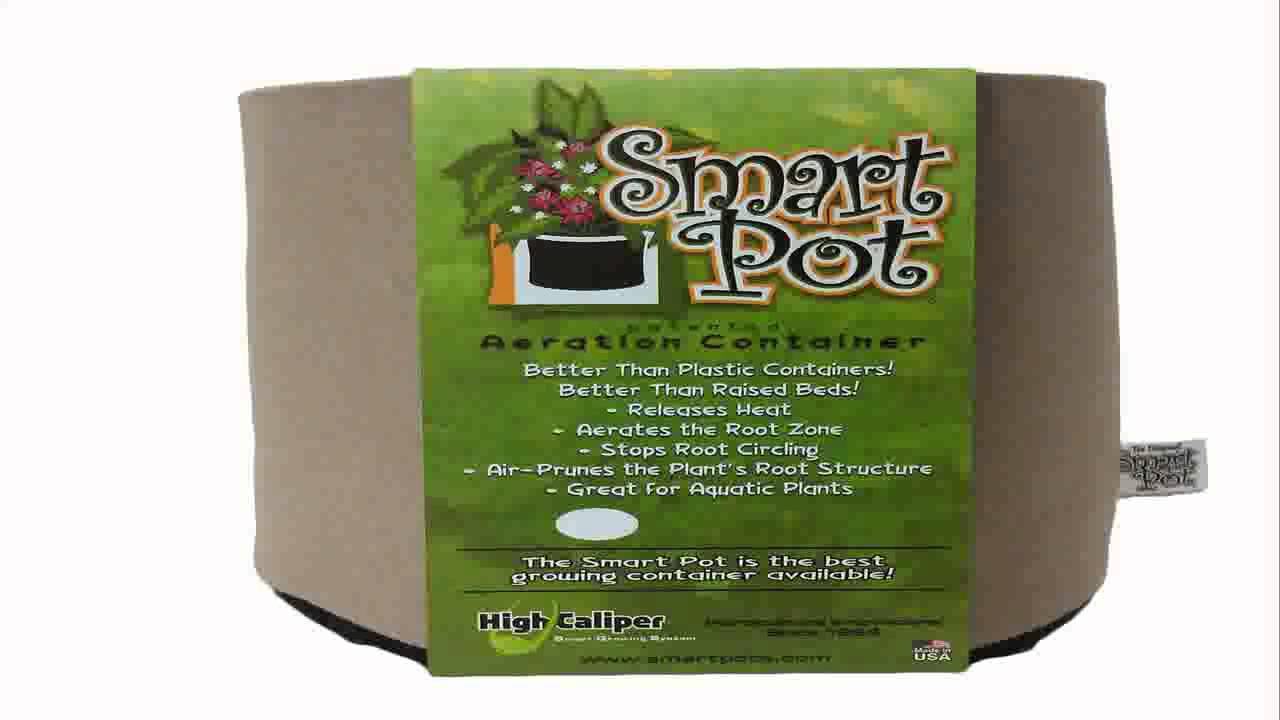 Smart Pots 3 Gallon Smart Pot Soft Sided Container Tan with Cut handles