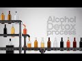 What Happens Inside Your Body When You Drink Alcohol?