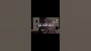 ولقد خلقنا الانسان من سلالة من طين - سورة المؤمنون - محمد اللحيدان