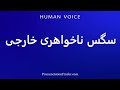How To Pronounce سگس ناخواهری خارجی 