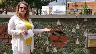 Why Do We Have Y Bridge? Local History for Kids featuring the Historic Artwall