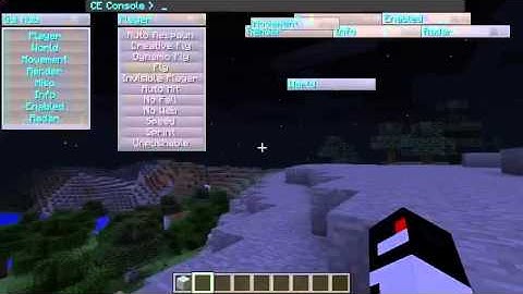 Minecraft cheating Essentials