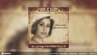 Hale Gür - Damlamasın Sarı Camdan Resimi