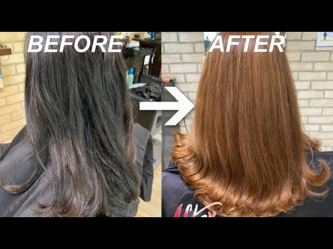 godtgørelse tør Indtægter Hair Transformation (Black to Light Brown) - YouTube