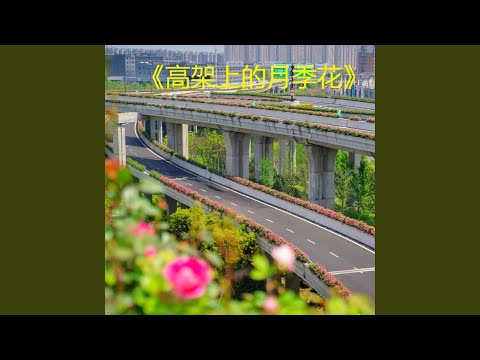 高架上的月季花