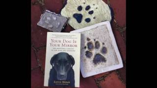The Emotional Battery, a conversation with Kevin Behan about animal behavior