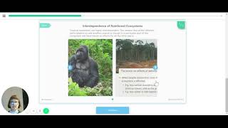 GCSE Geography - Tropical Rainforests Overview - Seneca - Learn 2x Faster
