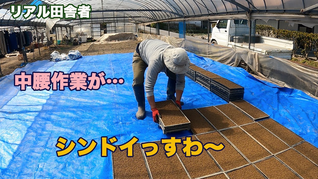 太陽シートで被覆。出芽は10日後かな〜