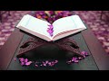 083 سورة المطففين سعد الغامدي بدون إعلانات