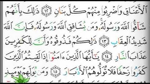 مصحف التجويد صفحة 178 ابراهيم الأخضر 🕋