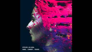 Steven Wilson- Ancestral (Hand. Cannot. Erase) HQ