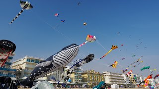 Jesolo Beach &amp; Kite Festival - OM-1 Mark II OM-LOG400 to HLG-HDR