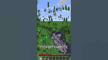 The RAREST pattern in Minecraft...